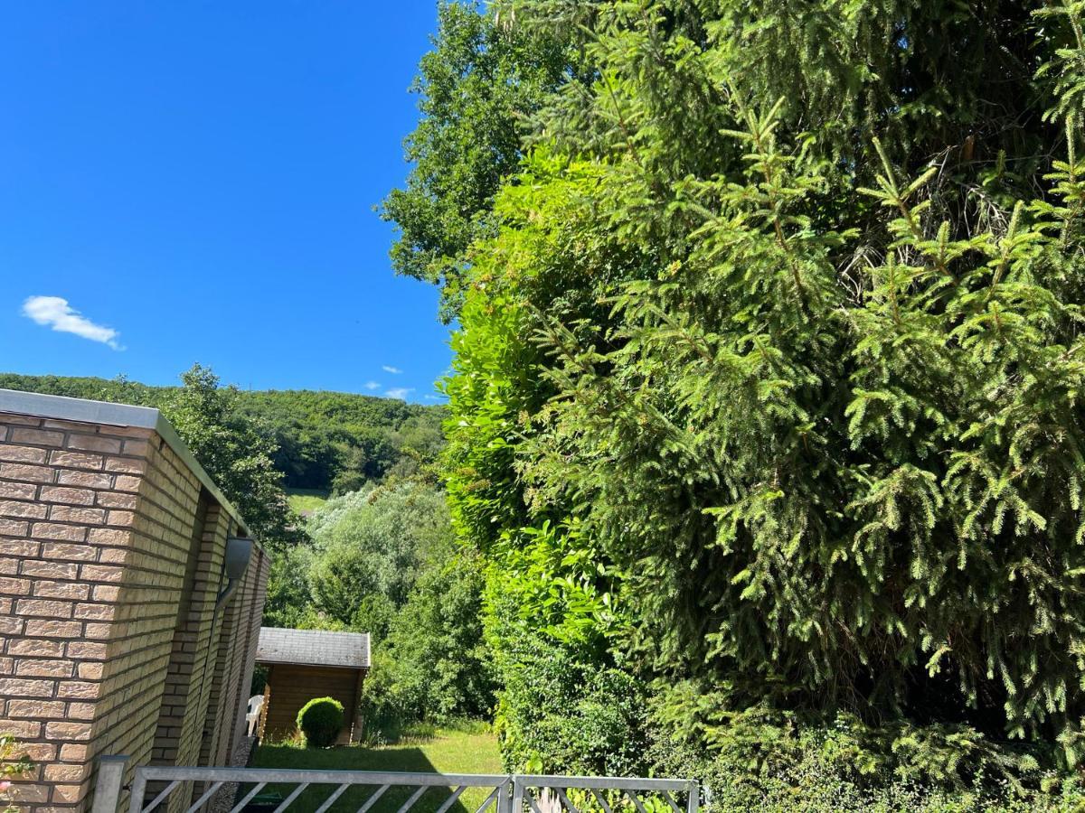 Gaestehaus Zum Buchenweg Hasenfeld Екстериор снимка